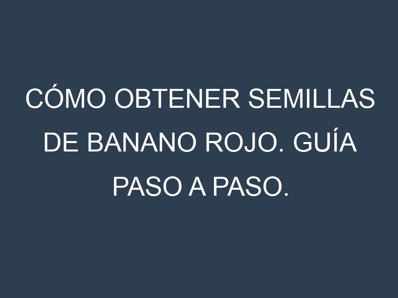 Cómo obtener semillas de Banano rojo. Guía paso a paso. Técnicas sencillas. Conservación.