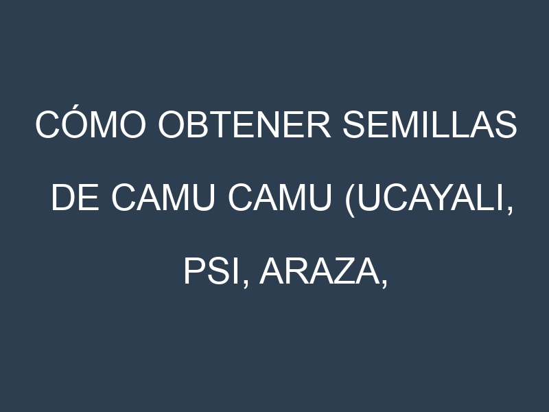 Cómo obtener semillas de Camu camu (Ucayali, Psi, Araza, Guava-like, Myrciaria dubia). Guía paso a paso. Técnicas sencillas. Conservación.
