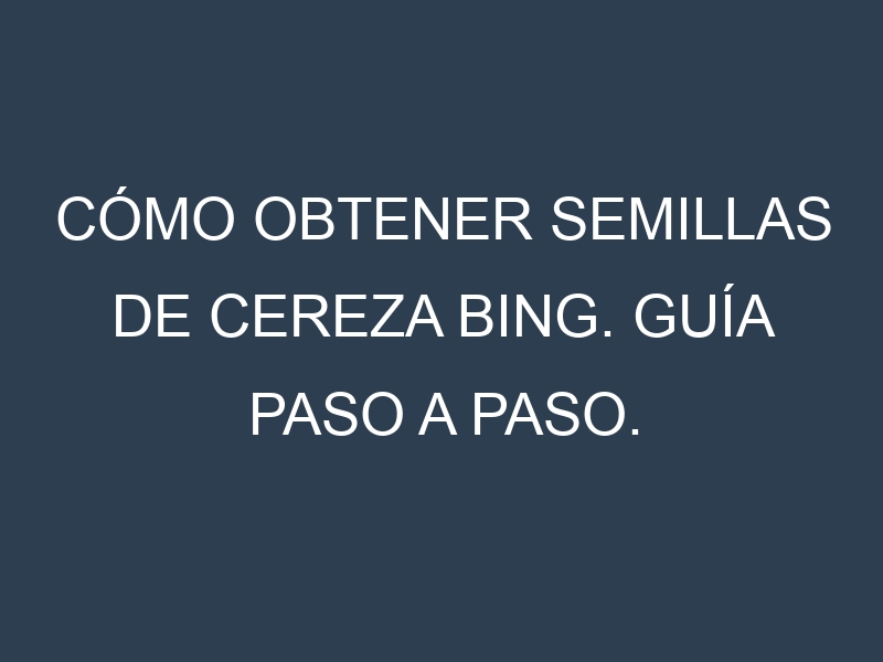 Cómo obtener semillas de Cereza Bing. Guía paso a paso. Técnicas sencillas. Conservación.
