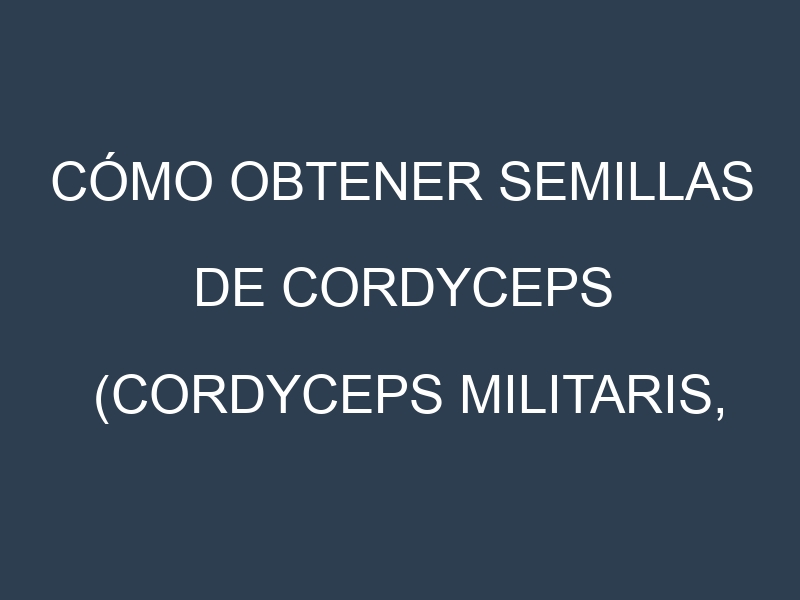 Cómo obtener semillas de Cordyceps (Cordyceps militaris, Cordyceps sinensis, Bhutanese, Chinese Cordyceps, Cultivated Cordyceps). Guía paso a paso. Técnicas sencillas. Conservación.