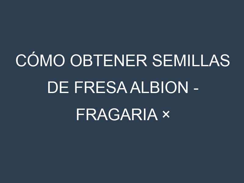 Cómo obtener semillas de Fresa Albion – Fragaria × ananassa. Guía paso a paso. Técnicas sencillas. Conservación.