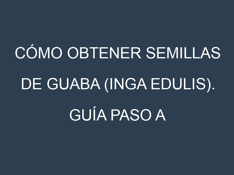 Cómo obtener semillas de Guaba (Inga edulis). Guía paso a paso. Técnicas sencillas. Conservación.
