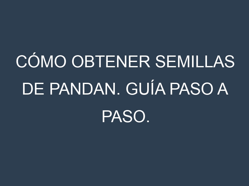 Cómo obtener semillas de Pandan. Guía paso a paso. Técnicas sencillas. Conservación.
