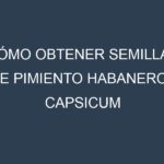 Cómo obtener semillas de Pimiento habanero – Capsicum chinense. Guía paso a paso. Técnicas sencillas. Conservación.