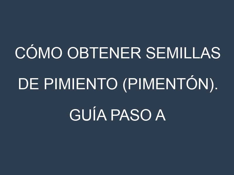 Cómo obtener semillas de Pimiento (pimentón). Guía paso a paso. Técnicas sencillas. Conservación.