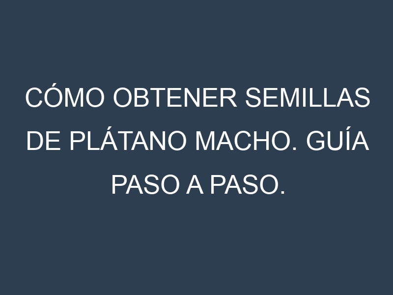 Cómo obtener semillas de Plátano macho. Guía paso a paso. Técnicas sencillas. Conservación.