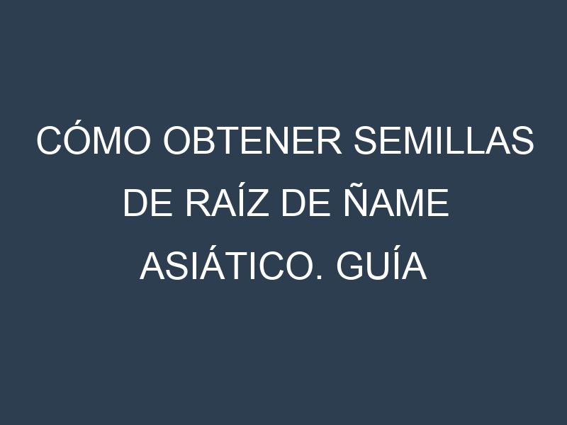 Cómo obtener semillas de Raíz de ñame asiático. Guía paso a paso. Técnicas sencillas. Conservación.
