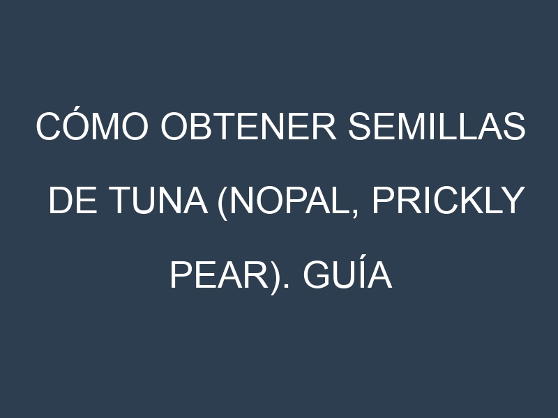 Cómo obtener semillas de Tuna (Nopal, prickly pear). Guía paso a paso. Técnicas sencillas. Conservación.