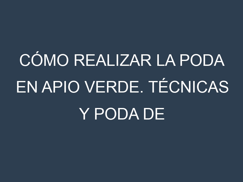 Cómo Realizar la Poda en Apio verde. Técnicas y Poda de formación.