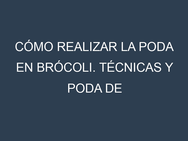 Cómo Realizar la Poda en Brócoli. Técnicas y Poda de formación.