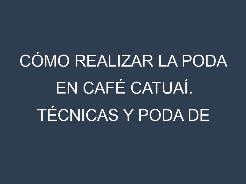 Cómo Realizar la Poda en Café catuaí. Técnicas y Poda de formación.