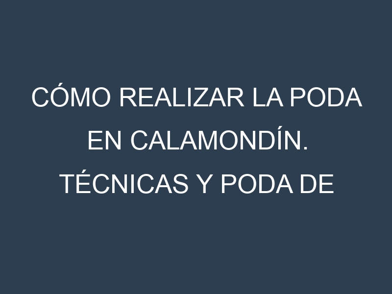 Cómo Realizar la Poda en Calamondín. Técnicas y Poda de formación.