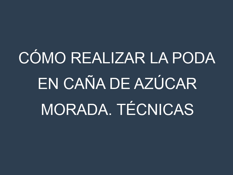 Cómo Realizar la Poda en Caña de azúcar morada. Técnicas y Poda de formación.