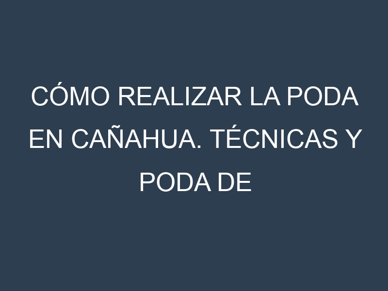 Cómo Realizar la Poda en Cañahua. Técnicas y Poda de formación.