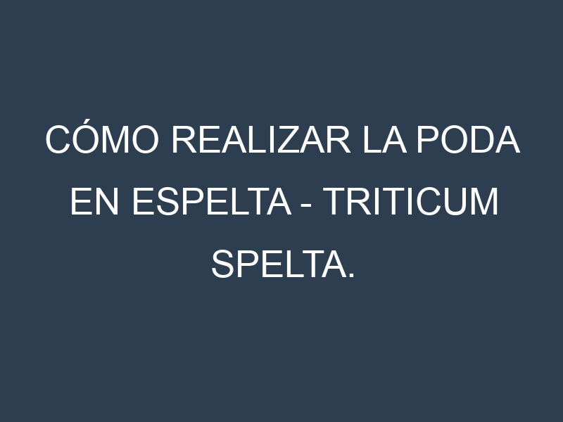 Cómo Realizar la Poda en Espelta – Triticum spelta. Técnicas y Poda de formación.