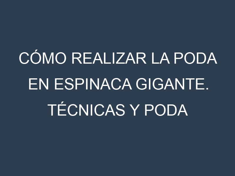 Cómo Realizar la Poda en Espinaca gigante. Técnicas y Poda de formación.
