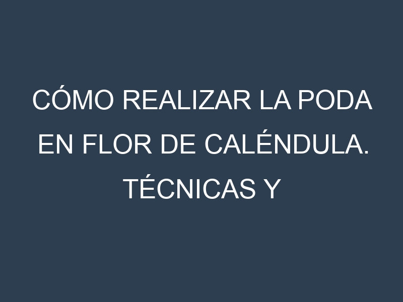Cómo Realizar la Poda en Flor de caléndula. Técnicas y Poda de formación.