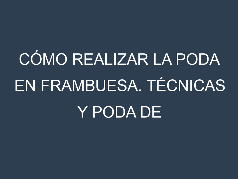 Cómo Realizar la Poda en Frambuesa. Técnicas y Poda de formación.
