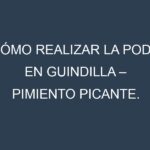 Cómo Realizar la Poda en Guindilla – Pimiento picante. Técnicas y Poda de formación.