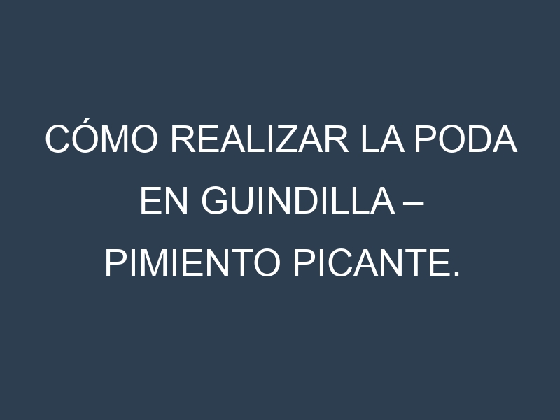 Cómo Realizar la Poda en Guindilla – Pimiento picante. Técnicas y Poda de formación.