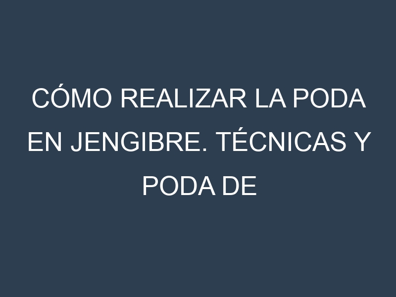 Cómo Realizar la Poda en Jengibre. Técnicas y Poda de formación.