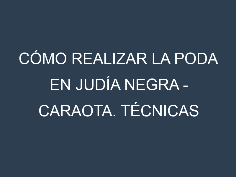 Cómo Realizar la Poda en Judía negra – Caraota. Técnicas y Poda de formación.