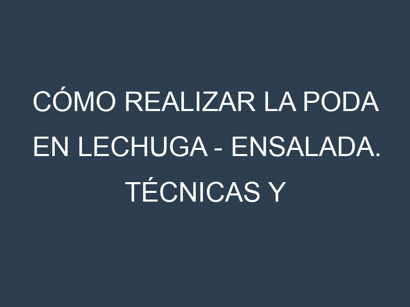 Cómo Realizar la Poda en Lechuga – Ensalada. Técnicas y Poda de formación.
