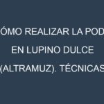 Cómo Realizar la Poda en Lupino dulce (altramuz). Técnicas y Poda de formación.