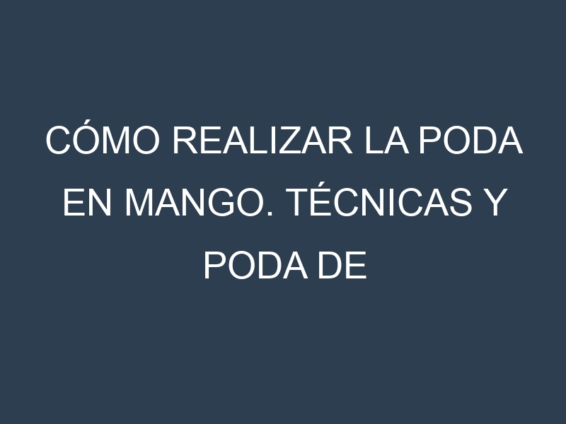 Cómo Realizar la Poda en Mango. Técnicas y Poda de formación.