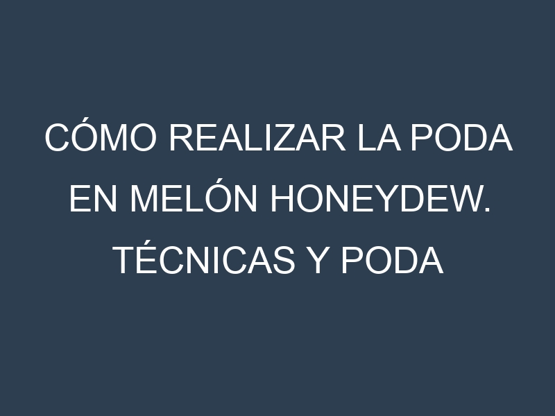 Cómo Realizar la Poda en Melón honeydew. Técnicas y Poda de formación.