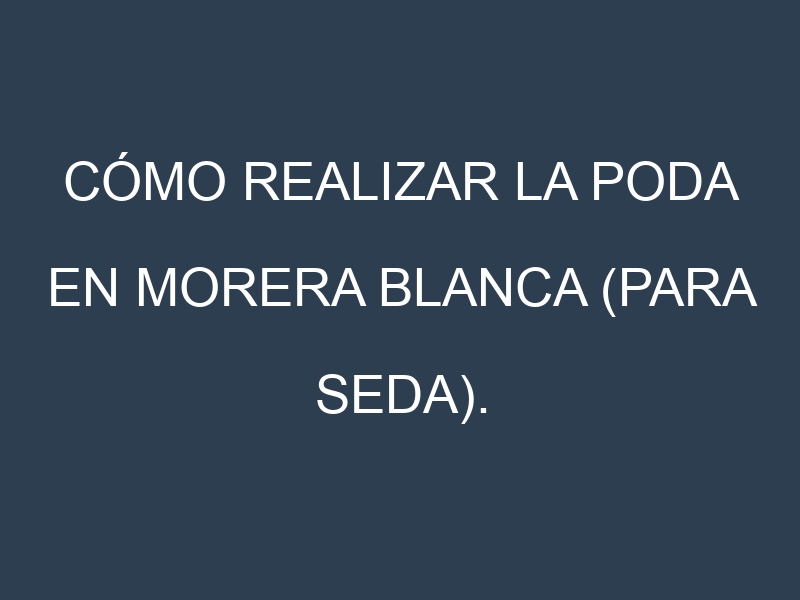 Cómo Realizar la Poda en Morera blanca (para seda). Técnicas y Poda de formación.