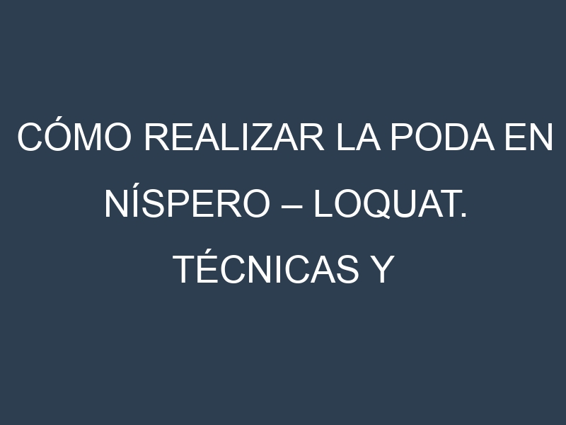 Cómo Realizar la Poda en Níspero – Loquat. Técnicas y Poda de formación.