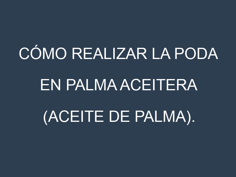Cómo Realizar la Poda en Palma aceitera (aceite de palma). Técnicas y Poda de formación.
