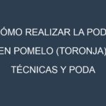 Cómo Realizar la Poda en Pomelo (toronja). Técnicas y Poda de formación.