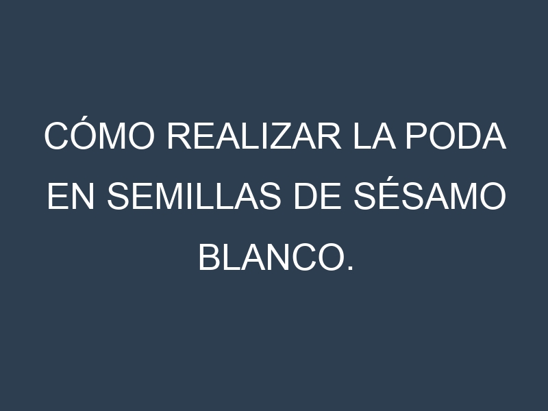 Cómo Realizar la Poda en Semillas de sésamo blanco. Técnicas y Poda de formación.