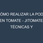 Cómo Realizar la Poda en Tomate – Jitomate. Técnicas y Poda de formación.