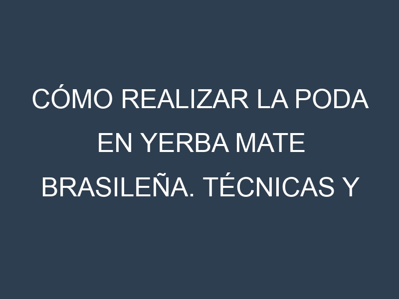 Cómo Realizar la Poda en Yerba mate brasileña. Técnicas y Poda de formación.