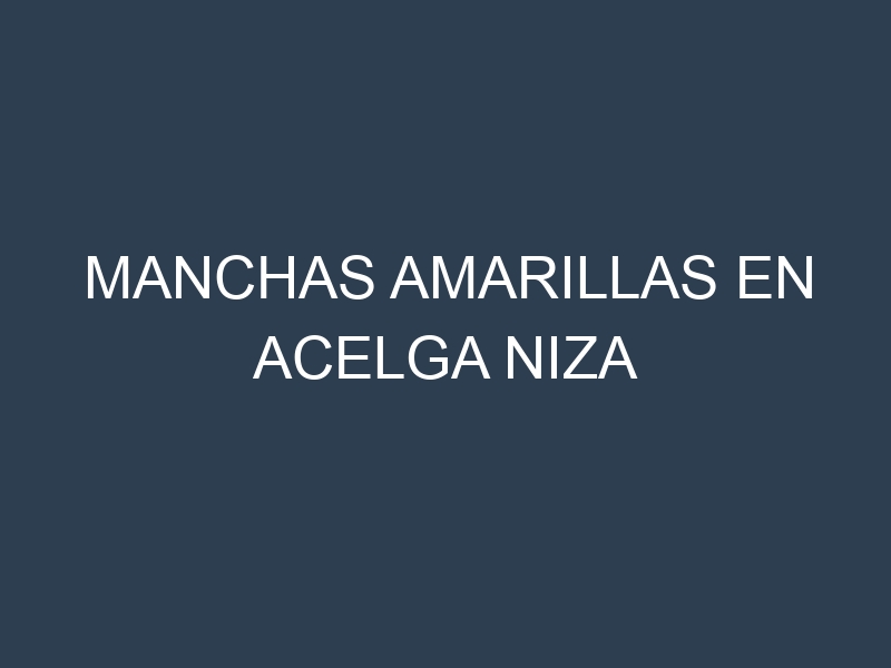 Manchas Amarillas en Acelga Niza