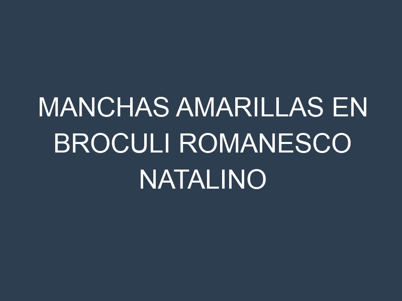 Manchas Amarillas en Broculi Romanesco Natalino