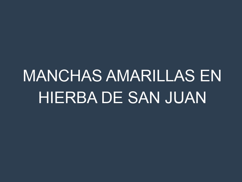 Manchas Amarillas en Hierba De San Juan