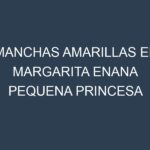 Manchas Amarillas en Margarita Enana Pequena Princesa