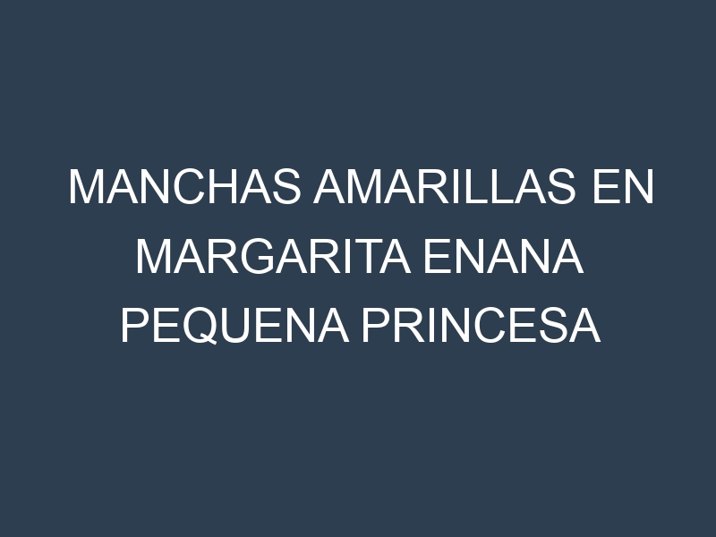 Manchas Amarillas en Margarita Enana Pequena Princesa