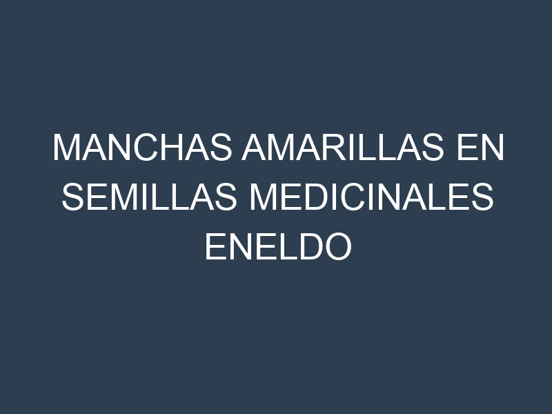 Manchas Amarillas en Semillas Medicinales Eneldo