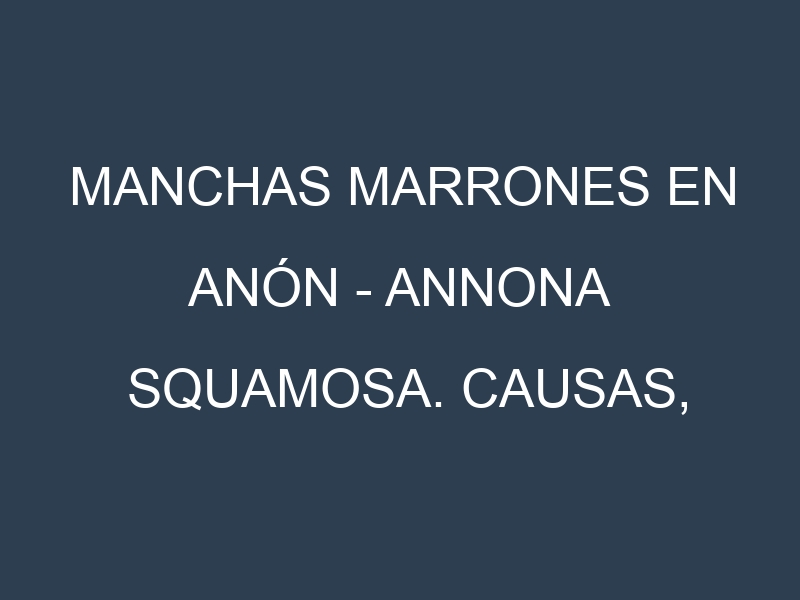 Manchas marrones en Anón – Annona squamosa. Causas, Prevención y Soluciones