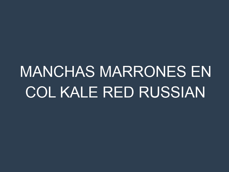 Manchas Marrones en Col Kale Red Russian
