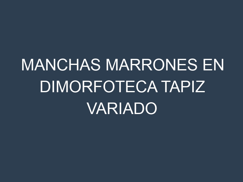Manchas Marrones en Dimorfoteca Tapiz Variado