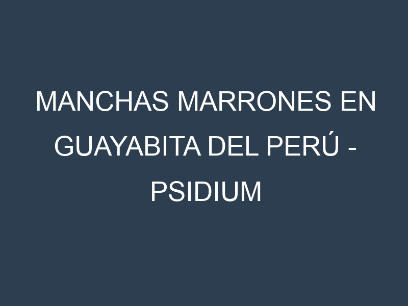 Manchas marrones en Guayabita del Perú – Psidium cattleianum. Causas, Prevención y Soluciones