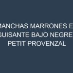 Manchas Marrones en Guisante Bajo Negret Petit Provenzal