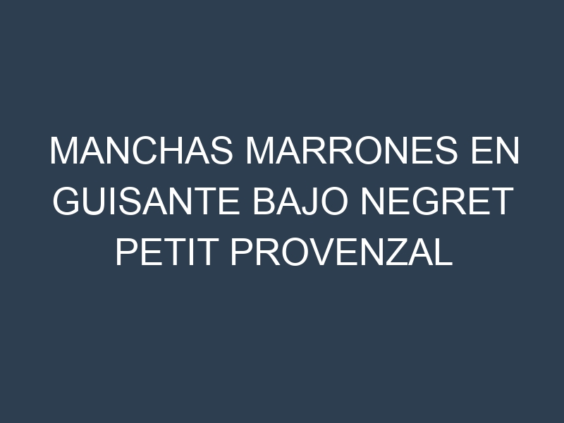 Manchas Marrones en Guisante Bajo Negret Petit Provenzal