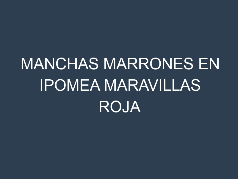 Manchas Marrones en Ipomea Maravillas Roja